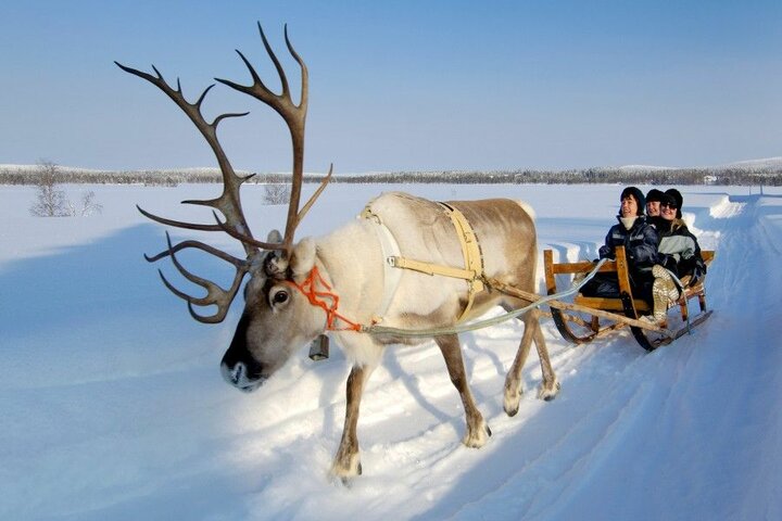 Winters Lapland - Buitenhof Reizen begeleide vakanties voor mensen met een verstandelijke beperking